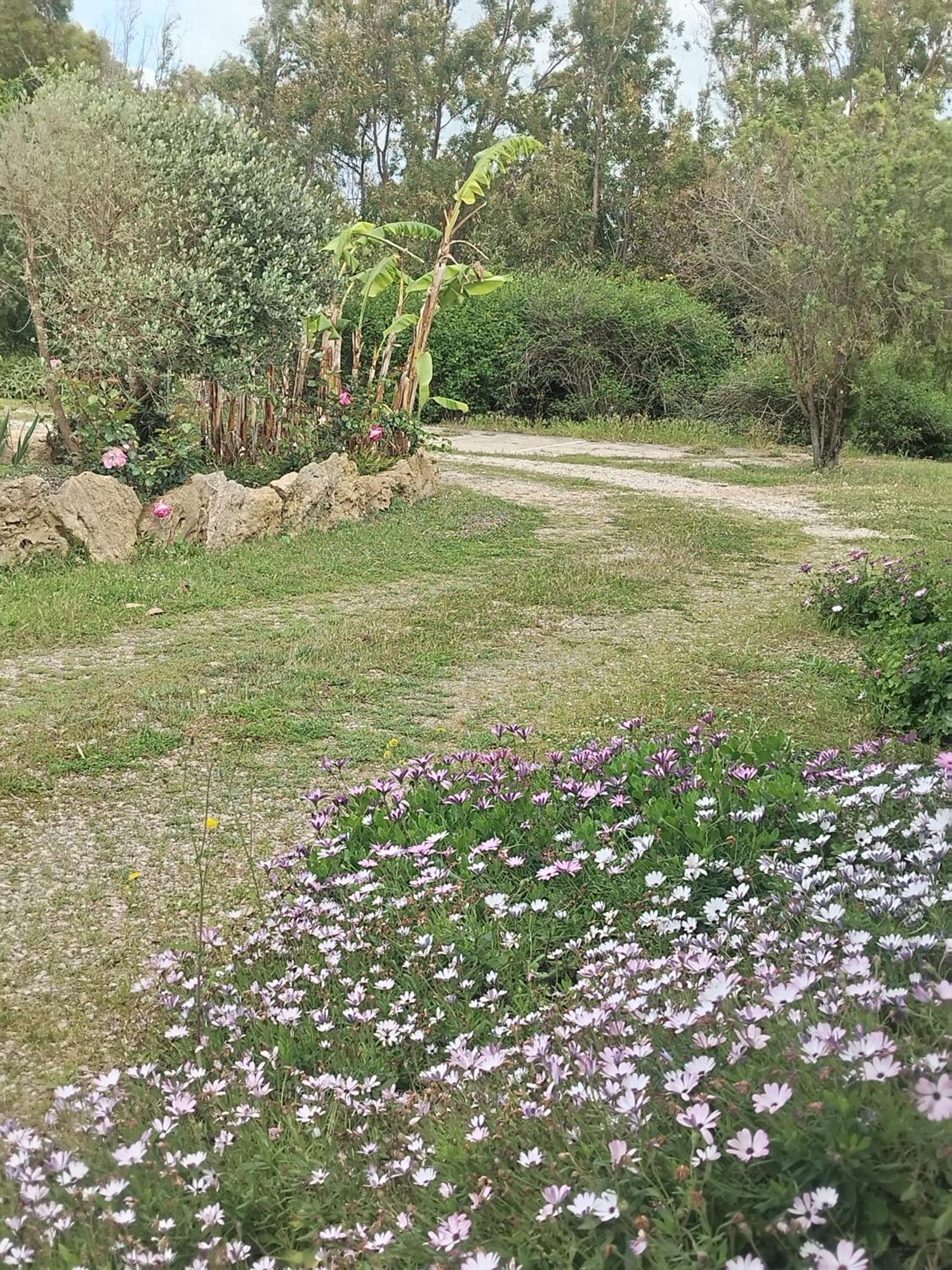 Camera Serraona Alghero Kültér fotó